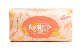《日常防护小物 卫生用品的普及与进化》